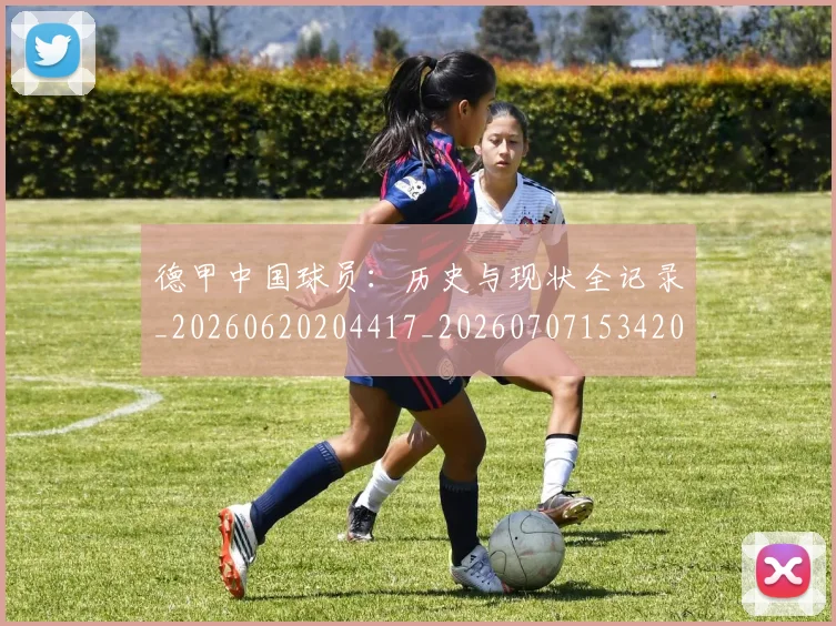 德甲中国球员:历史与现状全记录_20260620204417_20260707153420